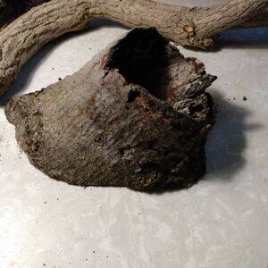 Unique Real Wood Hollow Tree Burl Knot Rustic Accent Fairy Gnome Garden Art